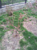2013-04-03 17.03.05