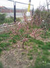 2013-04-03 17.03.14