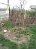 2013-04-03 17.03.21