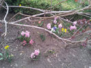 2013-03-31 18.20.33