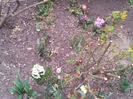 2013-03-31 18.20.55