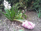 2013-04-03 16.32.56