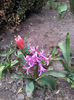 2013-04-03 16.33.26