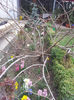 2013-04-03 16.34.21