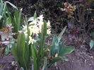 2013-04-03 16.40.06