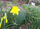 2013-04-03 16.36.15