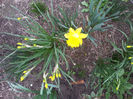 2013-04-03 16.36.25