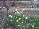 2013-04-03 16.36.44