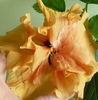 P1420544