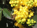 RSCN3291