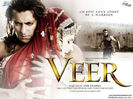 veer-2010_