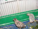 DSCF9190