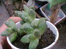 Fotogr.0548