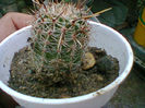 Fotogr.0552