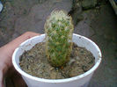 Fotogr.0555