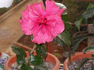 DSCN7690_3161