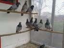 poze2013 044