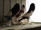 poze2013 055