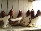 poze2013 059