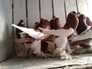poze2013 063