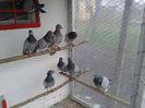 poze2013 045