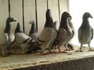 poze2013 077