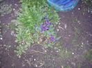 2013-04-04 19.28.32