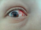 2013-04-04 12.03.56