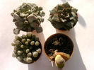 IMAG0028