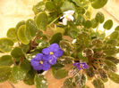 IMAG0030