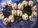 IMAG0039
