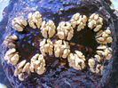 IMAG0041