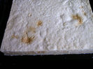 IMAG0027