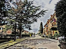 DSCN3086