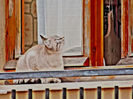 DSCN3333