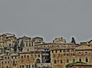 DSCN3335