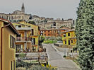 DSCN3341