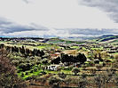 DSCN3361