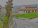 DSCN3375