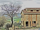 DSCN3382