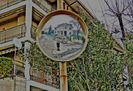 DSCN3384