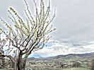 DSCN3389
