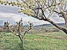 DSCN3399