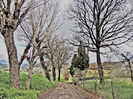DSCN3402