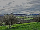 DSCN3409