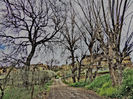 DSCN3414
