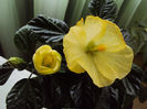DSC02520