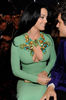 gallery_main-katy-perry-grammy-dress-28