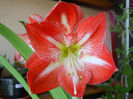 DSCN3938