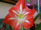 DSCN3939